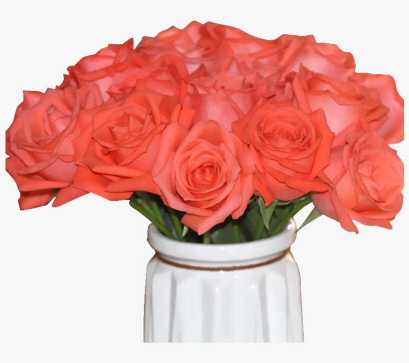 High Quality Fresh Cut Flower Rose From Kunming China - Garden Roses, transparent png download