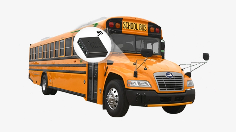 700 X 450 2 - Blue Bird Vision, transparent png download