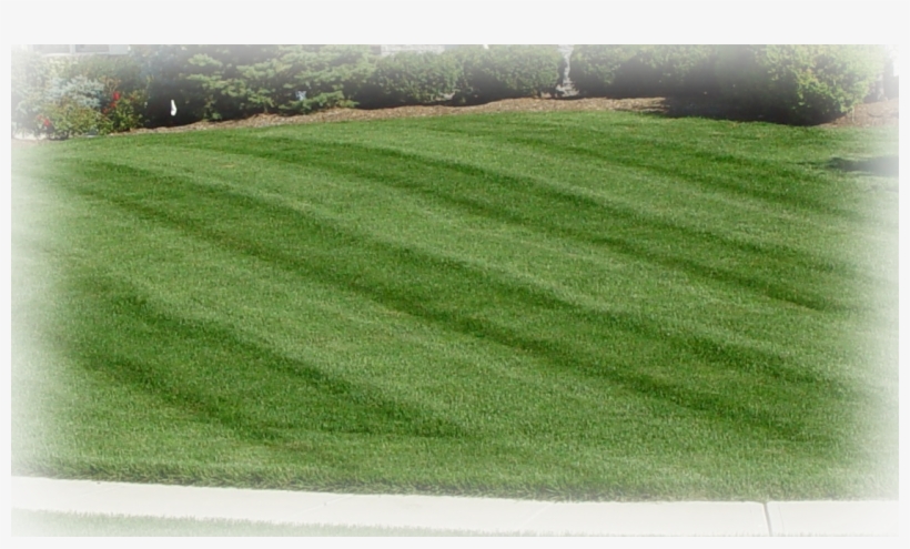 Contact Us - Lawn, transparent png download