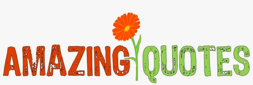 English Marigold, transparent png download