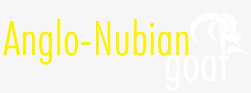 The Sirohi Goat Is A Compact, Medium-sized Breed Native - Graphic Design, transparent png download