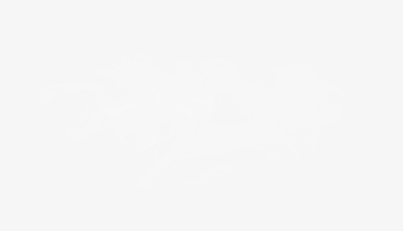 Setting The Standard For Machinery Precision & Productivity - Jp Morgan Logo White, transparent png download