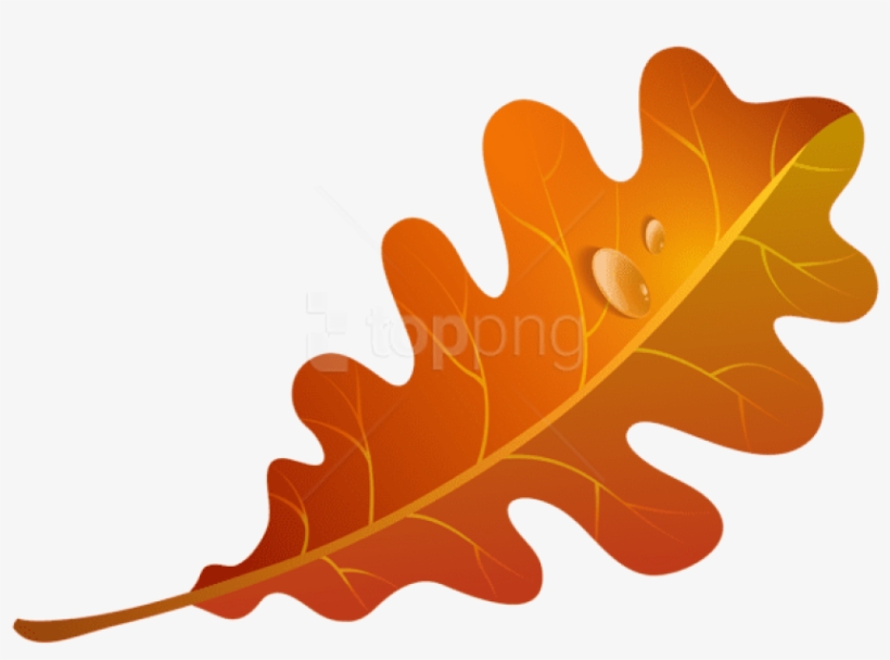 Free Png Download Fall Orange Leaf Clipart Png Photo - Orange Fall Leaf Clip Art, transparent png download