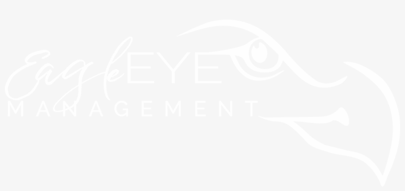 Eagle E - Y - E - Management, Llc - Graphic Design, transparent png download