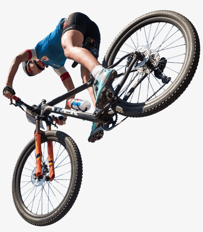 Emily Batty's, transparent png download