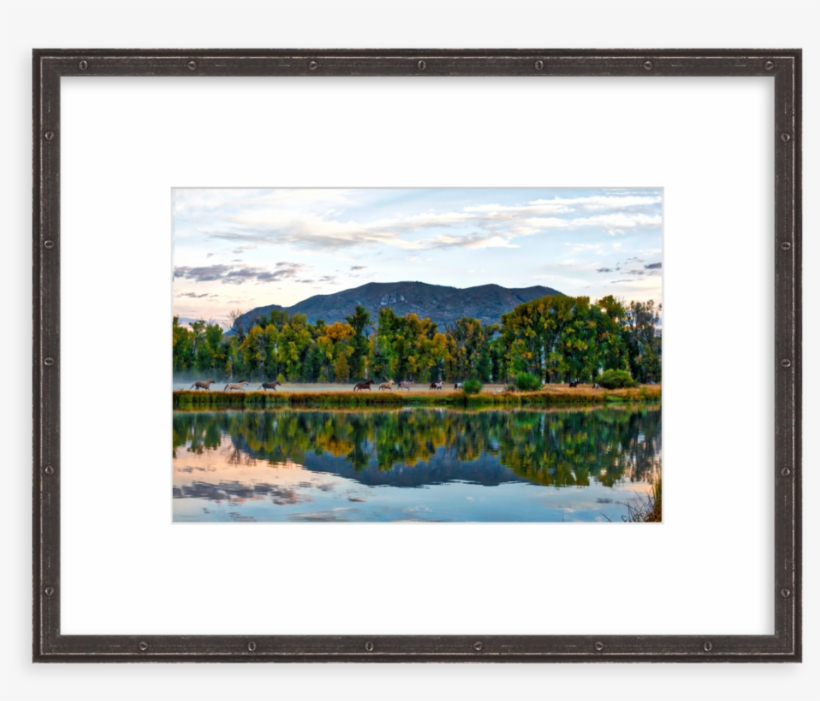 Picture Frame, transparent png download