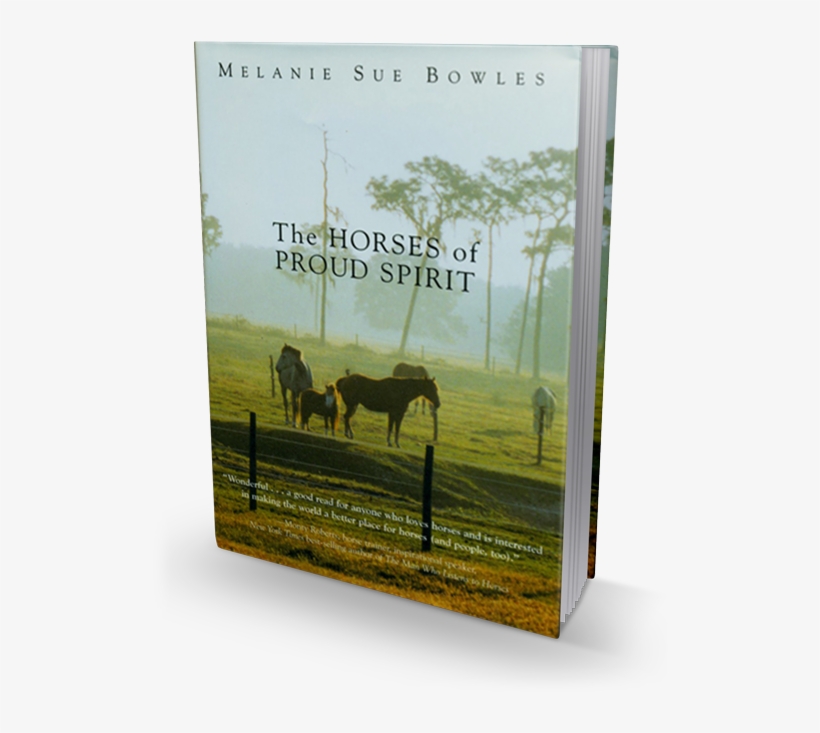 Stallion, transparent png download