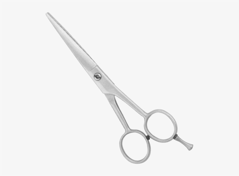 Professional Barber Scissor Most Popular In Our Range - Scissors, transparent png download