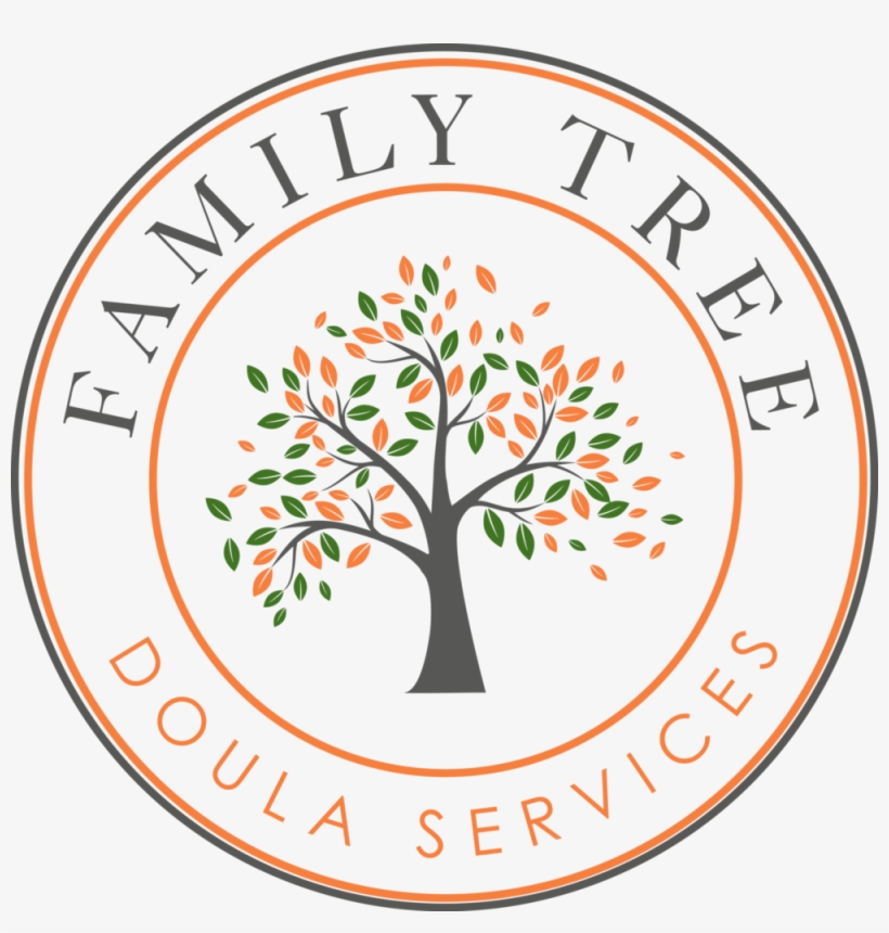 Family Tree - Psicologia De La Familiar, transparent png download