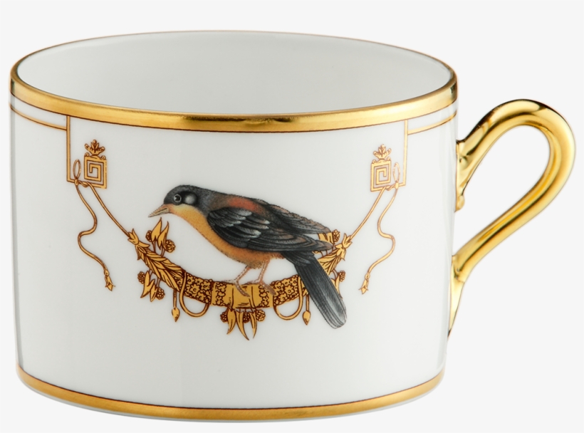 Tea Cup Volière Cou Jaune - Richard Ginori Coffe Cups, transparent png download