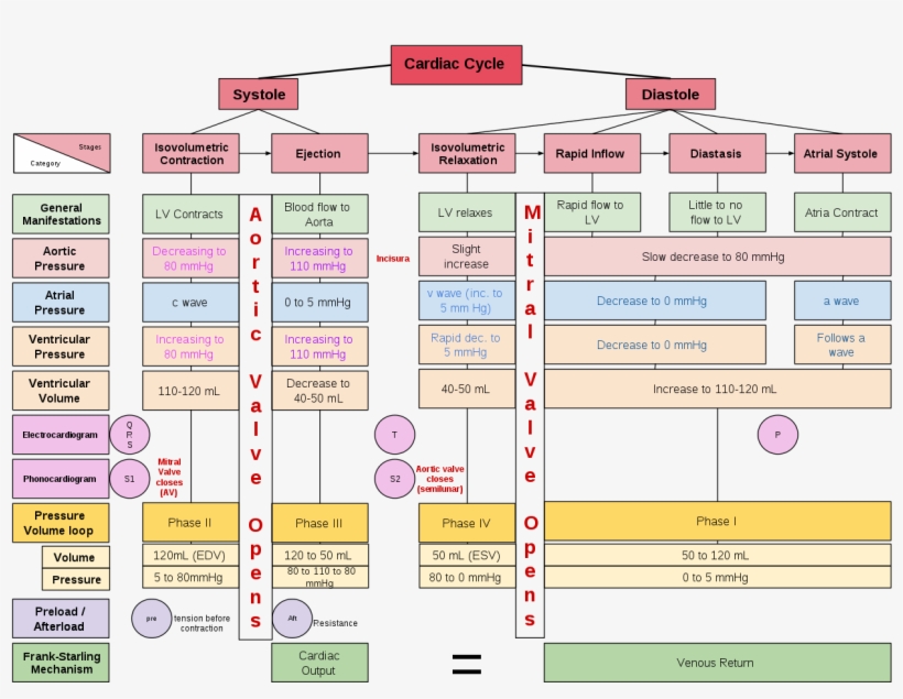 Heartbeat Concept Map - Number, transparent png download