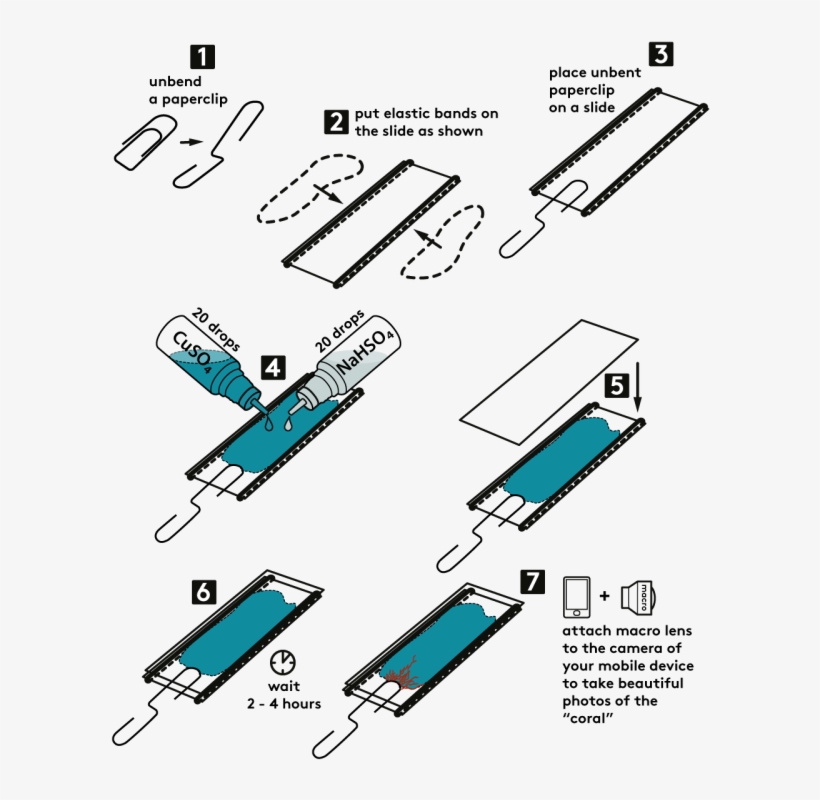 Step By Step Instructions - Diagram, transparent png download