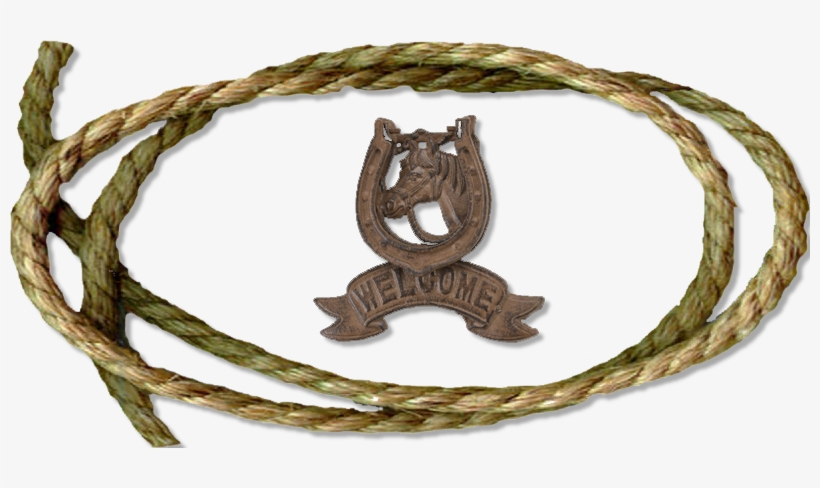 Lasso - French Bulldog, transparent png download