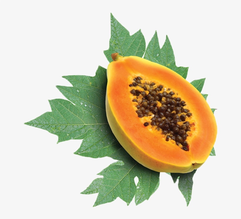 Do You Want More Informations About This Crop - Vitamin A In Papaya, transparent png download