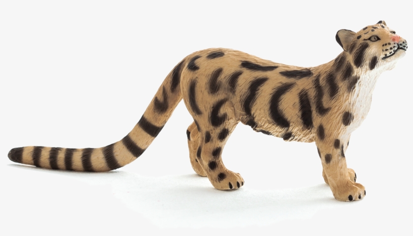 Siberian Tiger, transparent png download