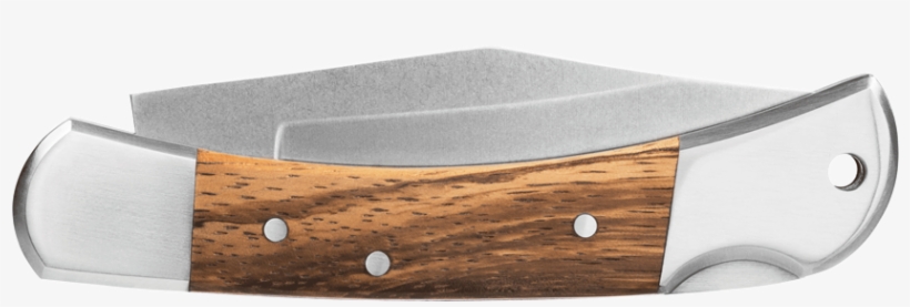 Winchester Lasso Folder Pocket Knife - Winchester Lasso, transparent png download