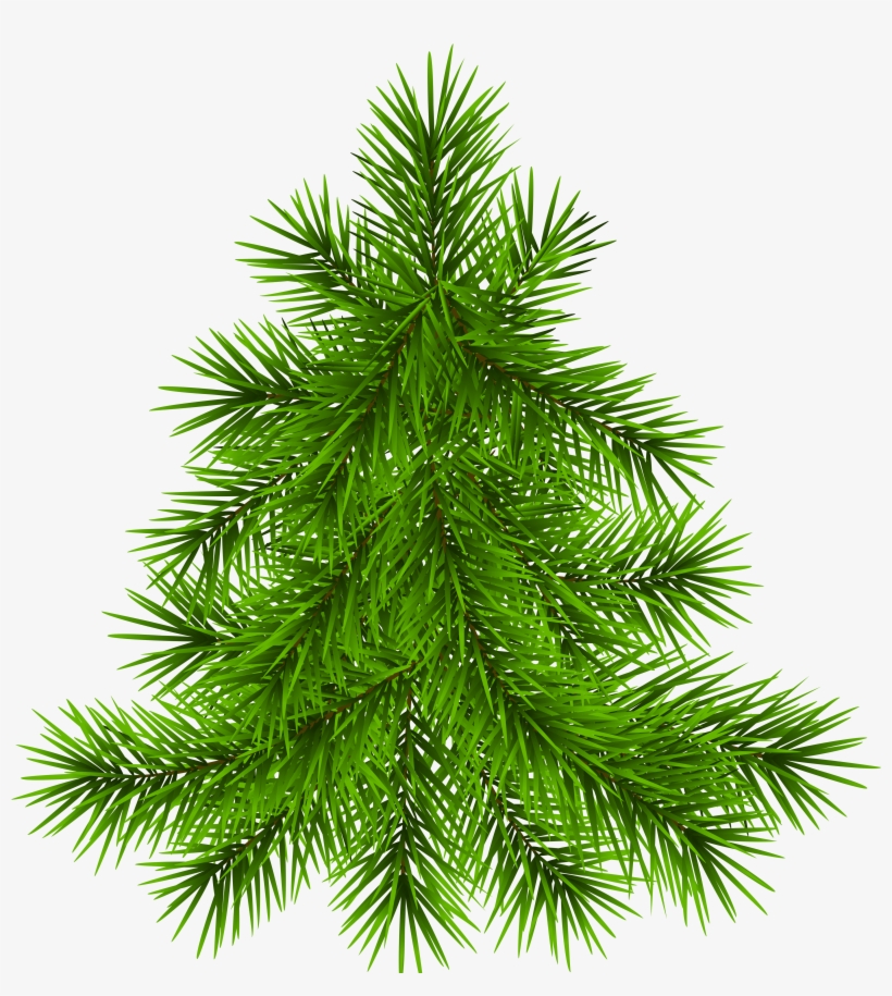Christmas Day, transparent png download