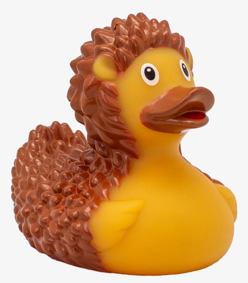 Hedgehog Rubber Duck - Bath Toy, transparent png download