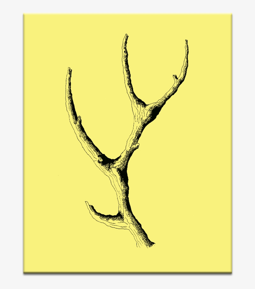 Wooden Antler - Illustration, transparent png download