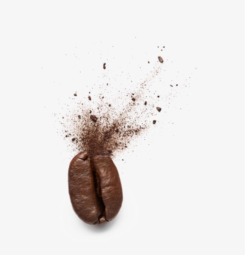 Coffee-bean - Still Life Photography, transparent png download