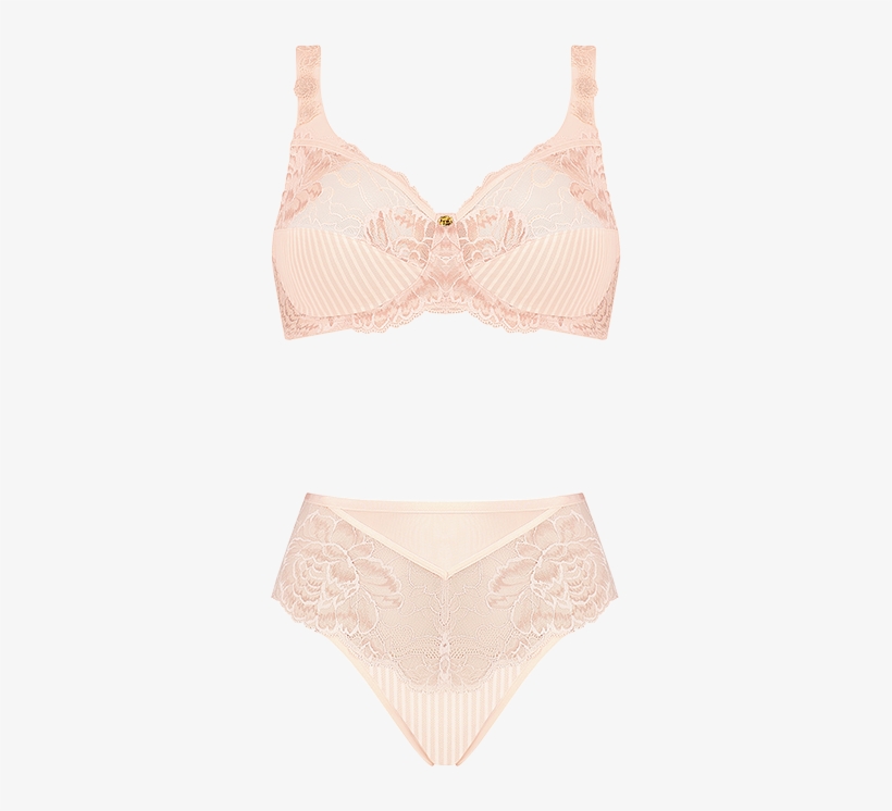 478 X 770 5 - Brassiere, transparent png download