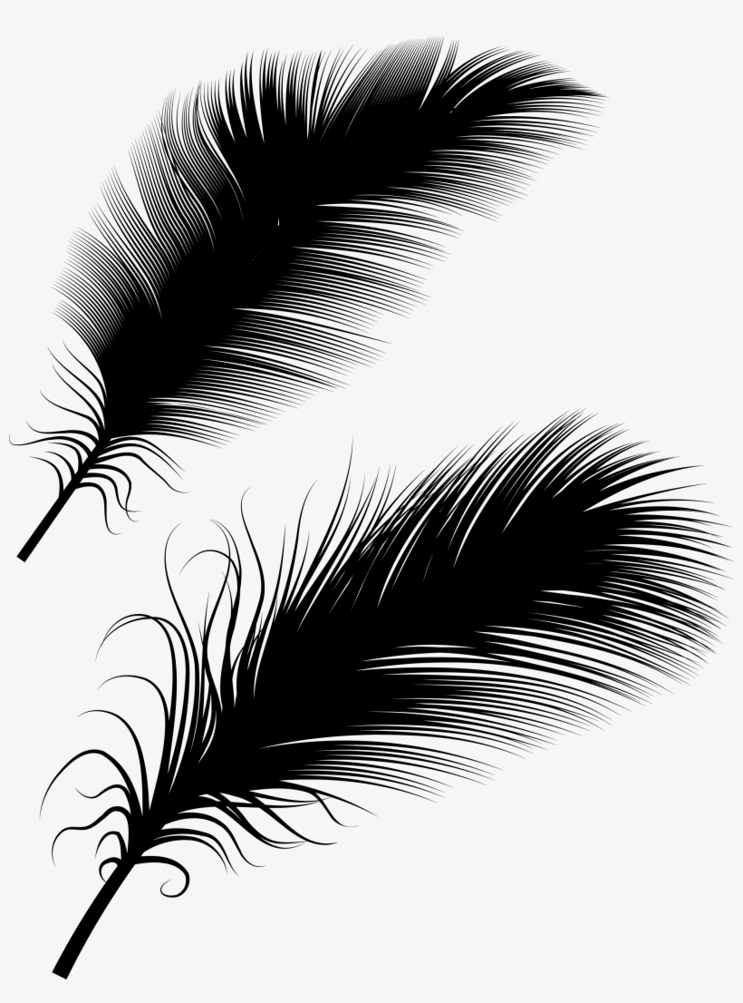 Bird Euclidean Transprent Png Free Download Stock - Illustration, transparent png download