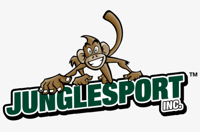 Jungle Png, transparent png download