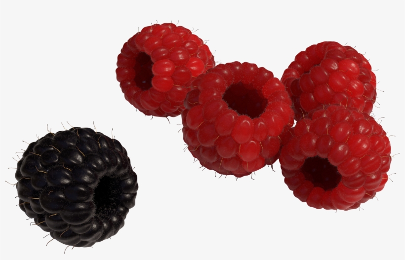 Red And Black Raspberry - Raspberry, transparent png download
