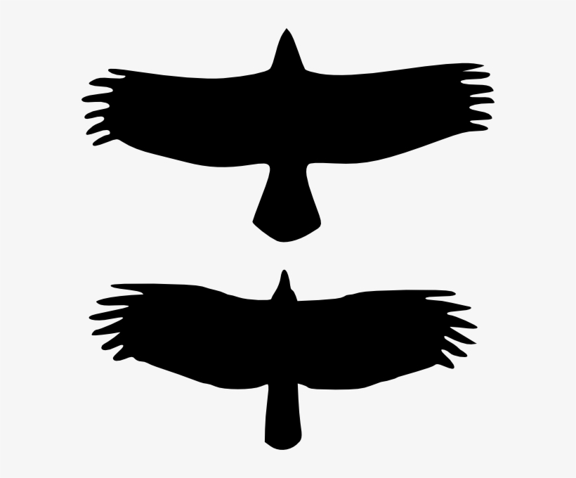 Small - Crow Vs Raven Vs Turkey Vulture, transparent png download