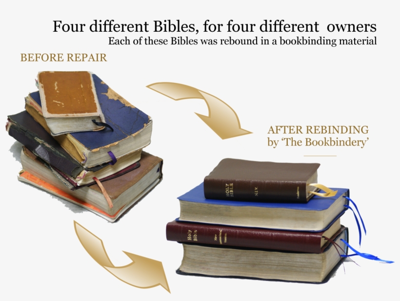 Holy Bible And Family Bible Repair - Leather, transparent png download