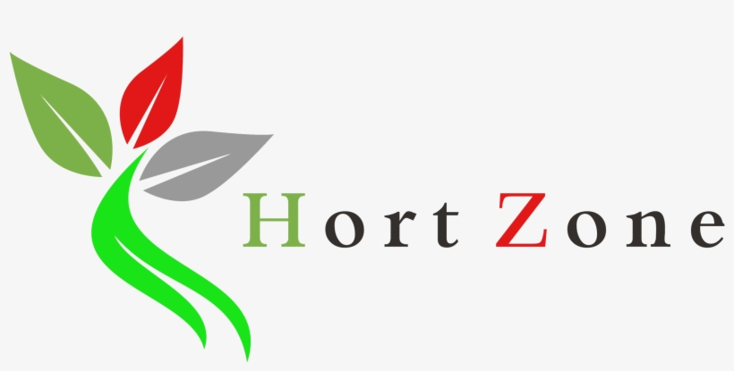 Hydroponic Growing Of Lettuce And Spinach On Pvc Pipes, transparent png download