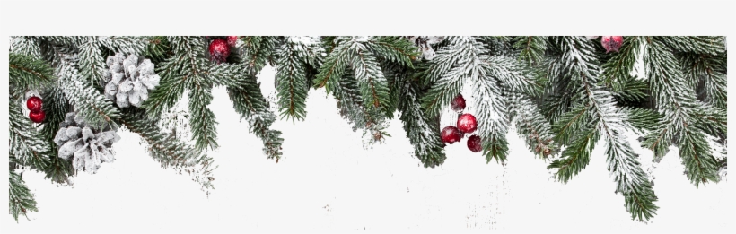 Christmas Background Transparent - Transparent Christmas Crown Png, transparent png download