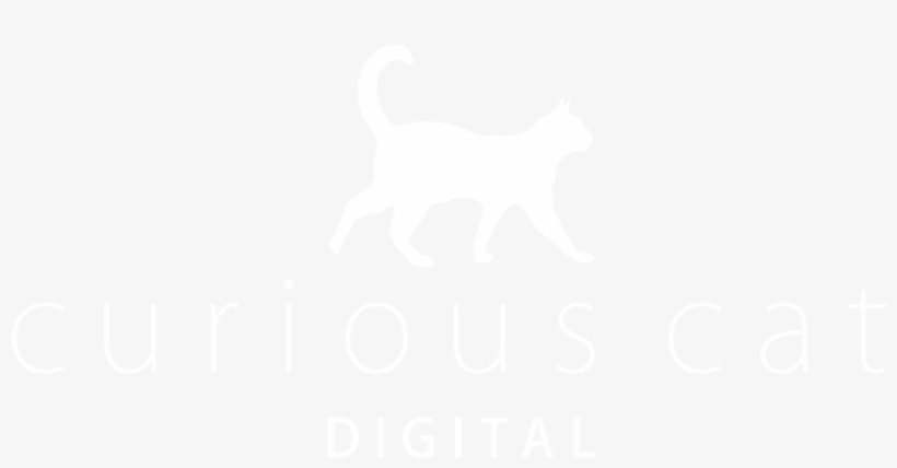 Curiouscatwhite - Spotify White Logo Png, transparent png download