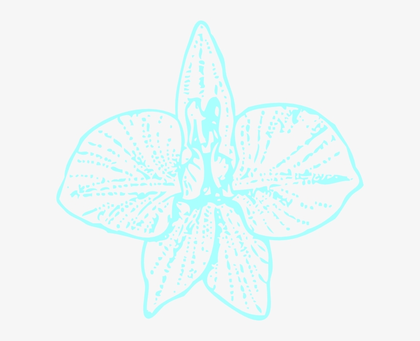 Blue Orchid Clip Art Svg Clip Arts 600 X 586 Px, transparent png download