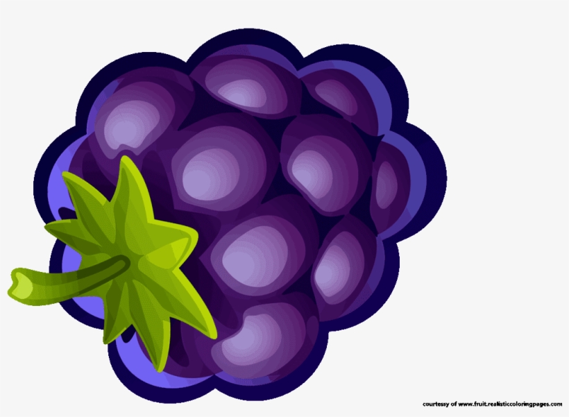 Blueberries Clipart - Illustration, transparent png download