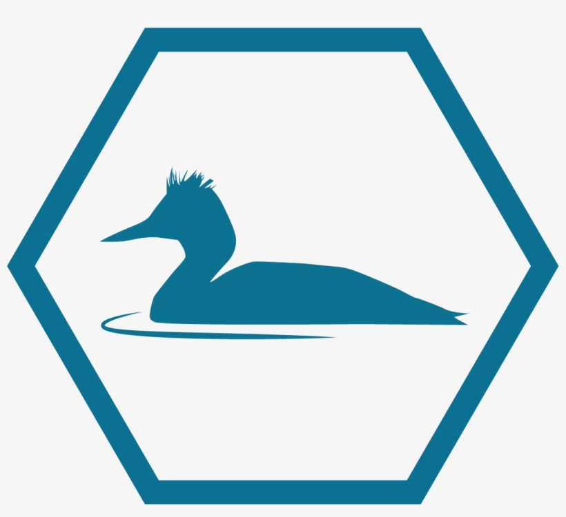 A Safe Haven For Birds - Especialidade Arte Em Origami, transparent png download