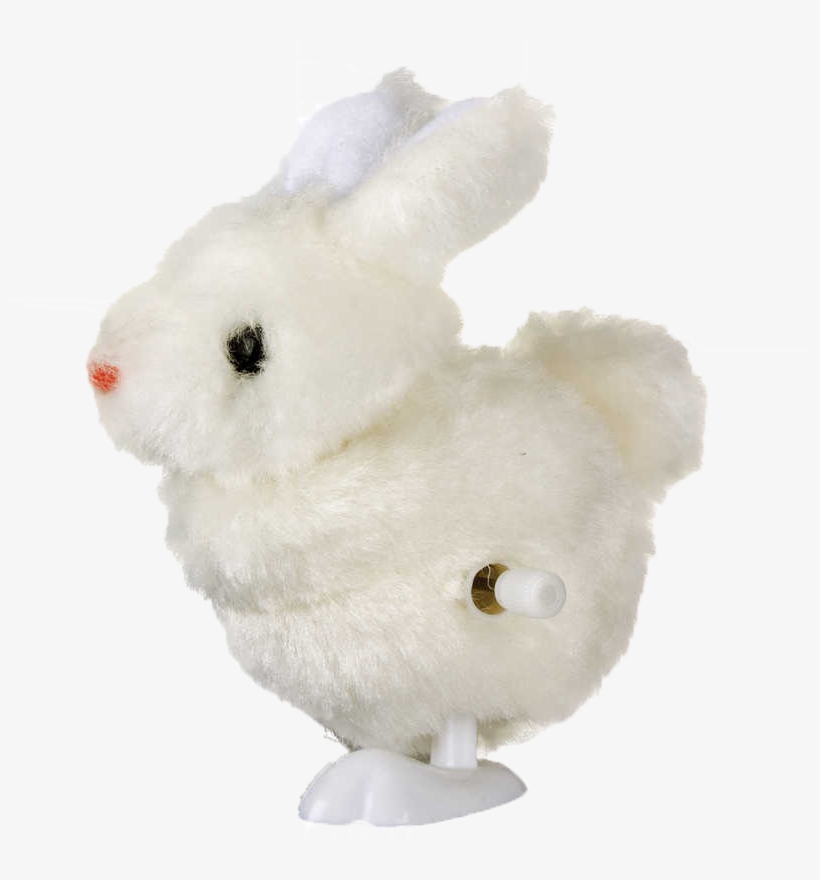 Domestic Rabbit, transparent png download