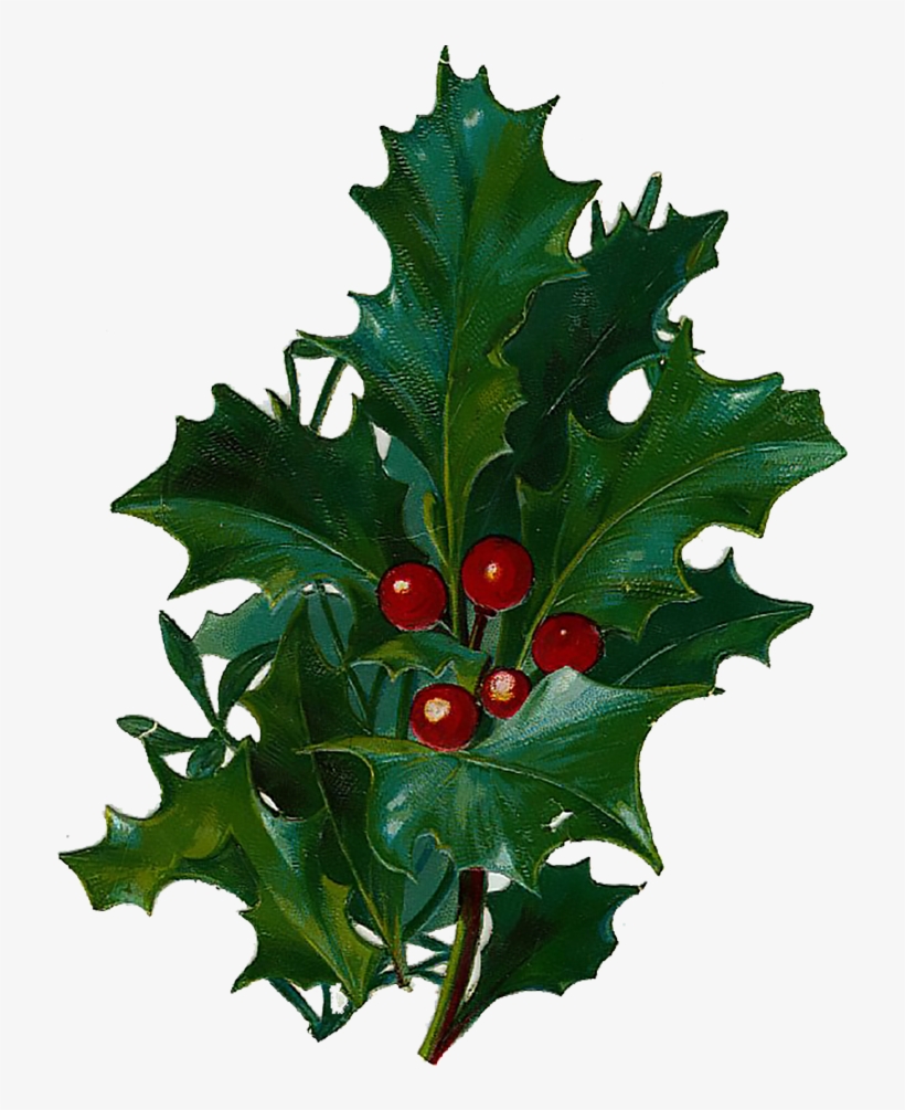 750 X 960 2 - Victorian Clip Art Christmas, transparent png download