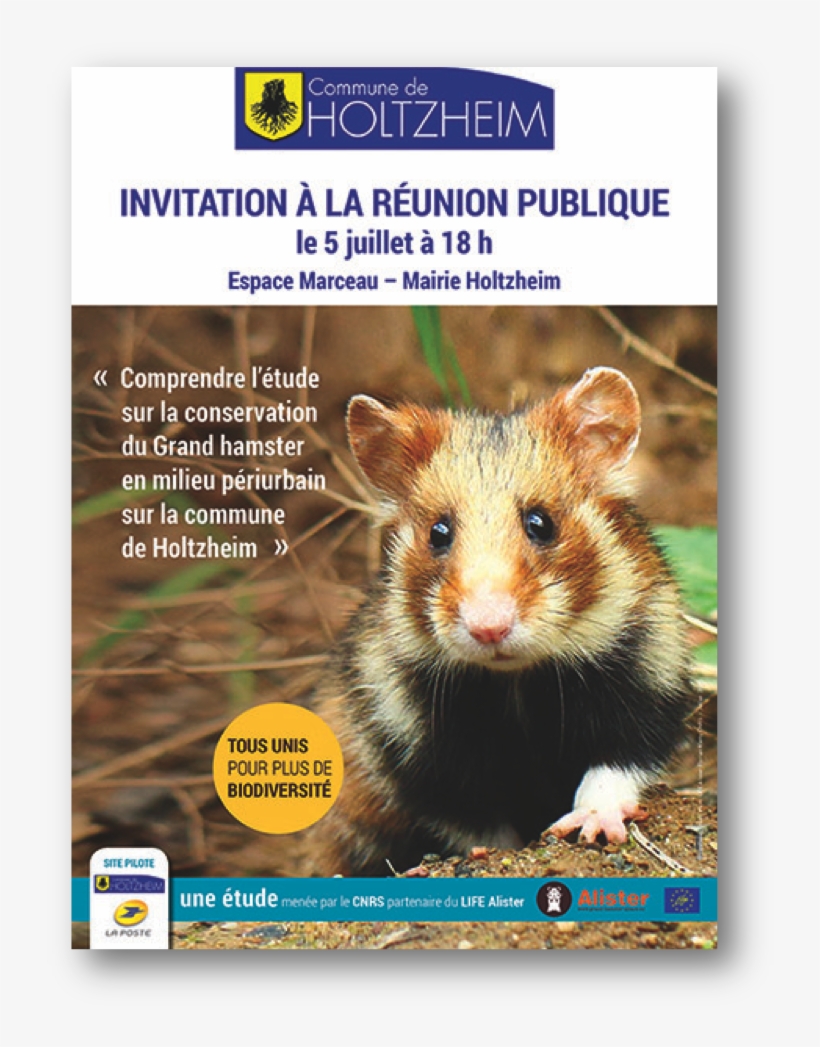 The Urban Periphery Goal Progress Report - Interdit Au Public, transparent png download