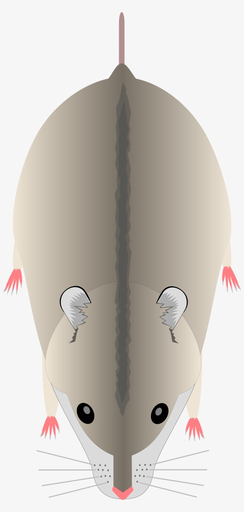 Open - Illustration, transparent png download