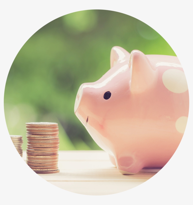 Affordable Dentistry Piggy Bank - Animal Figure, transparent png download