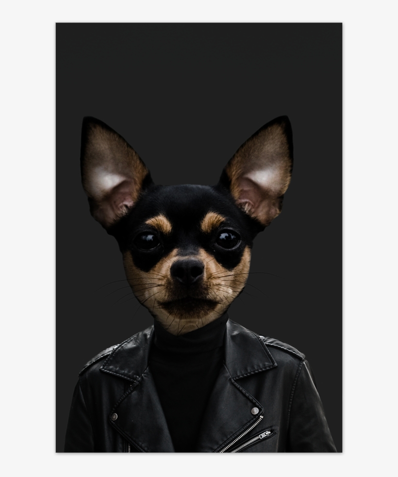 Tito The Chihuahua Art Card - Pražský Krysařík, transparent png download