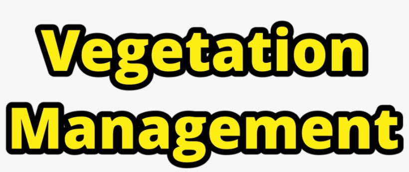 Vegetation Management - Illustration, transparent png download