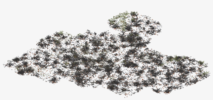 World Cave Iso 90 - Eye Shadow, transparent png download