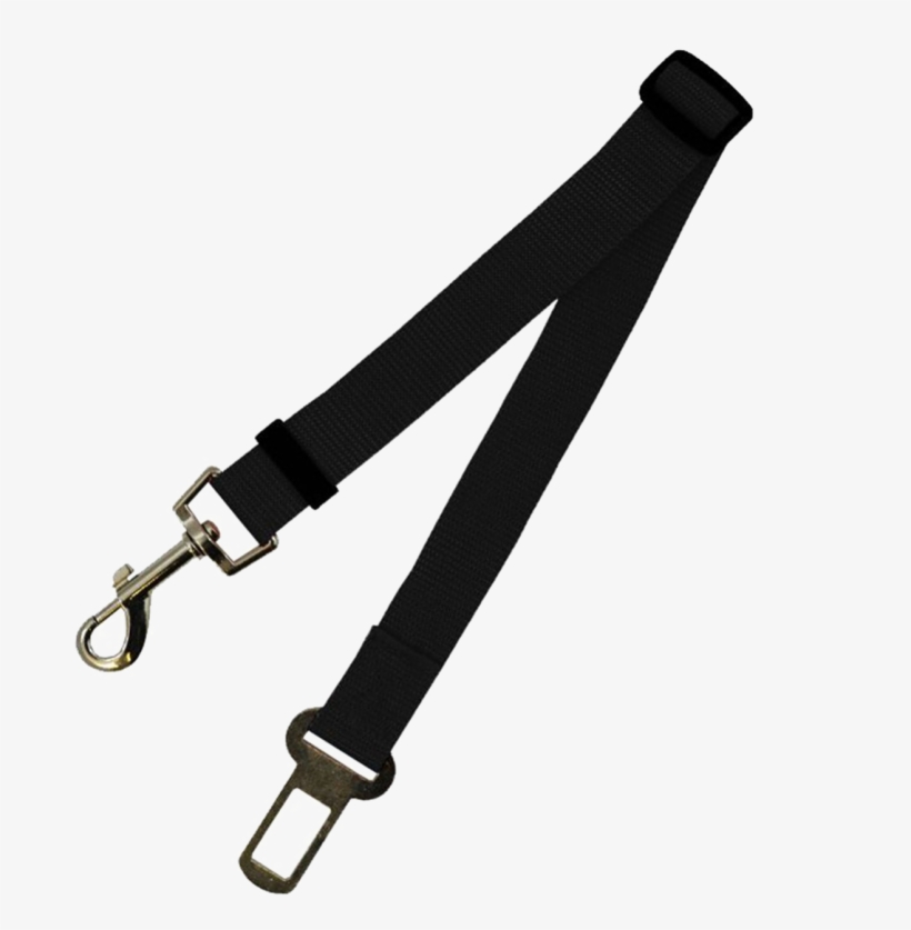 Safety Belt Png Transparent - Seat Belt Transparent, transparent png download