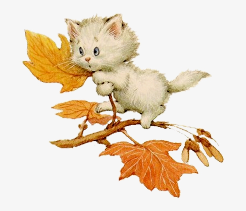 Rm Kitten In Tree - Kitten, transparent png download