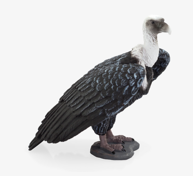 Wildlife - Mojo Fun Griffon Vulture, transparent png download