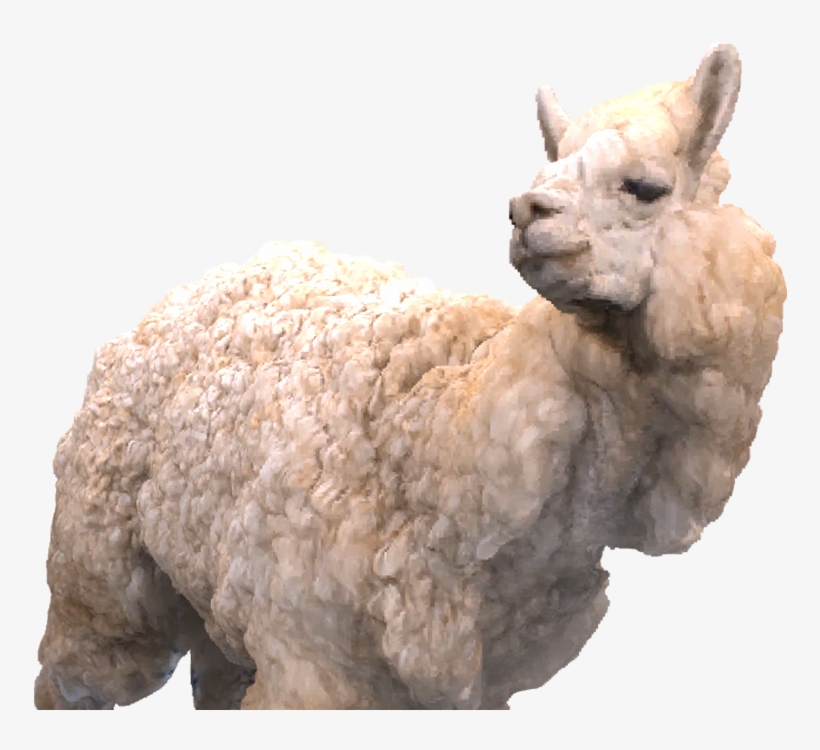 Alpaca - Camel, transparent png download