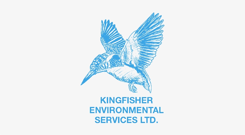Kingfisher Environmental Services Ltd - Emblem, transparent png download