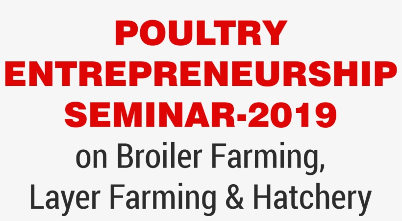 Circle, transparent png download